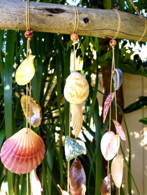 Seashell Driftwood Wind Chime Wall Hanging Rustic Wind Etsy