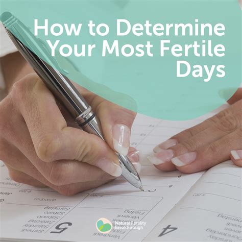 How To Determine Your Most Fertile Days Ovulation How To Get Pregnant