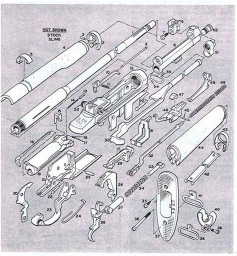 Trigger Assembly Firearms Assembly Bev Fitchetts Guns Magazine