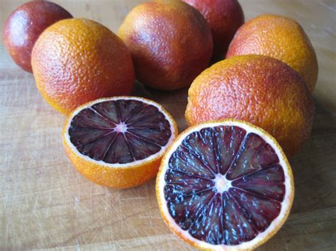 Citrus Enthusiast Blood Oranges
