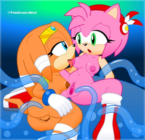 Rule 34 2girls Amy Rose Blue Eyes Boots Clitoris Duo Echidna Gloves