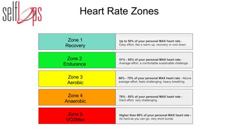 Training In The Heart Rate Zones Selfloops