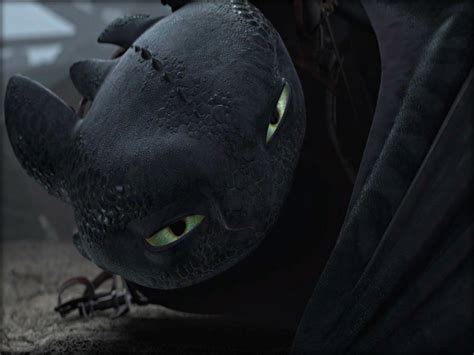 Toothless Toothless The Dragon Wallpaper 33005434 Fanpop