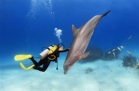 10 Best Places For Scuba Diving In The Caribbean Epic Caribbean