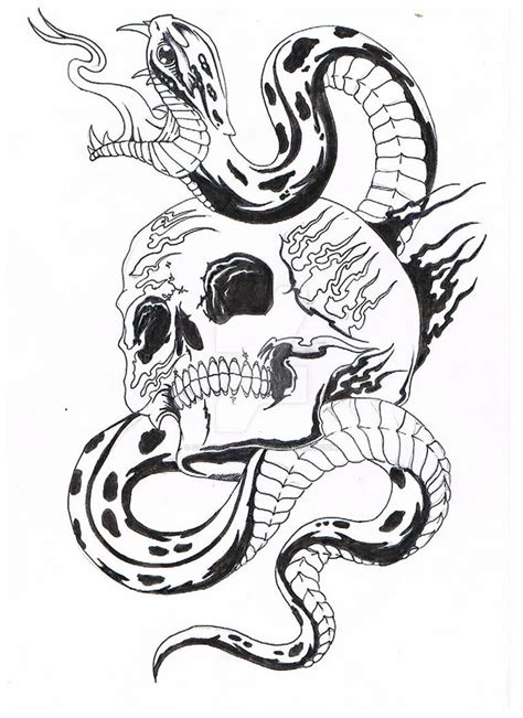 Skull And Thes Snake By Calamity Addict On Deviantart