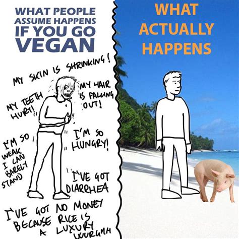 What people think happens when you go vegan [FIXED] | Vegan quotes