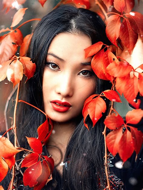 Фотография Азиаты Листья Взгляд Брюнетка красивая Alessandro 600x800