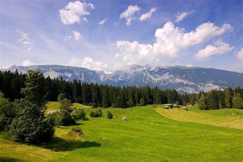 Switzerland Scenery Forests Grasslands Mountains Sky Clouds