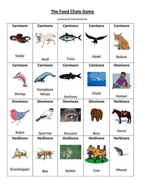 This science resource asks students to use the words in the box to complete the sentences about food chains. food chain game.pdf - Google Drive | Food chain, Food ...