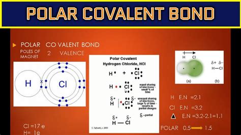 Polar Covalent Bond Definitions Types And Examples