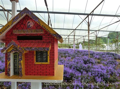 The house has all the facilities right from iron, dryer, washing machine gohtong jaya is the perfect spot to explore genting highlands's fascinating cultural sights and attractions. GoodyFoodies: Lavender Farm + Vegetable/Flower Farm ...