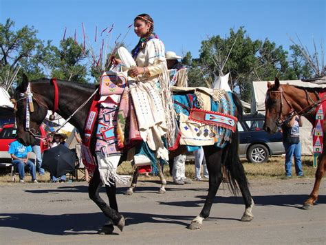 How Horses Revolutionized The Lives Of The Plains Indians Nonfiction