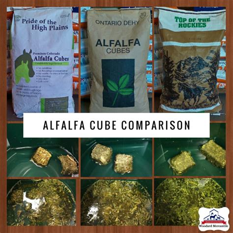 Alfalfa Cubes A Little Experiment Woodard Mercantile
