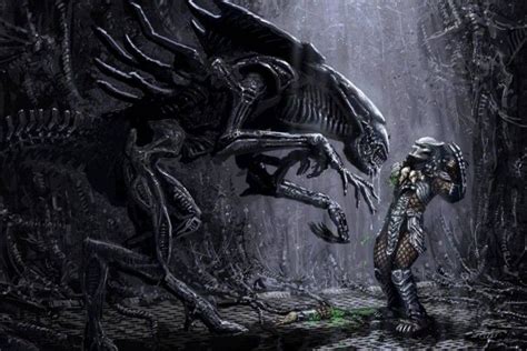 alien vs predator wallpaper ·① wallpapertag