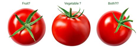 Is A Tomato A Fruit Or A Vegetable Hint Youre Both Right The