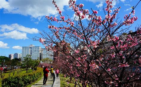 台北的課程活動及 台北的遊樂場 台北的森林 台北的花園 台北的地質構造 台北的溫泉和間歇泉 台北的遊艇碼頭 台北的山脈 台北的國家公園 台北的自然和野生動物區 台. 【東湖樂活公園】櫻花林櫻花步道極美!台北內湖賞櫻景點 | 陳小沁の吃喝玩樂