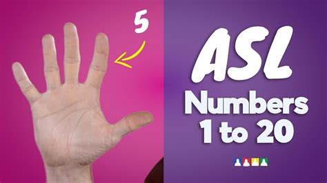 How To Count To 20 In Sign Language Asl Numbers 1 20 Asl Counting