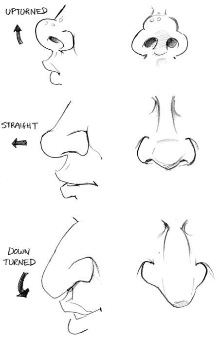 This Series Of “how To Draw Caricatures” Tutorials Are A Just A Small Taste Of A Larger And Much