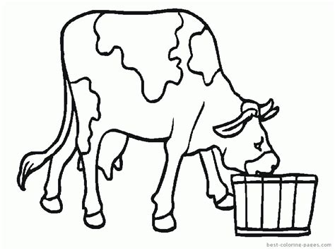 Horse Cow Coloring Page