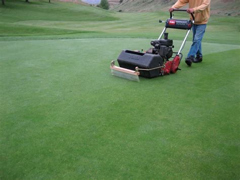 Lgcc Golf Maintenance Grooming Greens Grain And Brushes