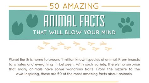 50 Mind Blowing Facts From The Animal World Infographic