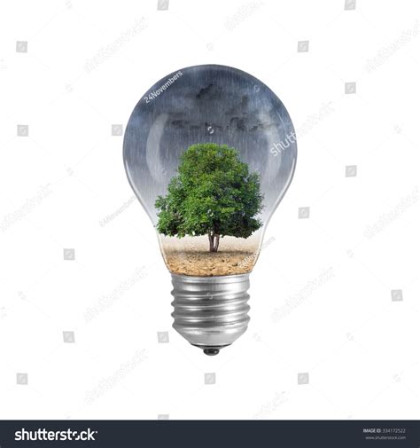 Bulb Light Tree Inside Changing Environment Stock Photo 334172522