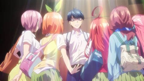 What Is Harem Anime Everything You Want To Know Myanimefacts