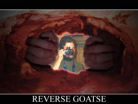 [image 6104] Goatse Know Your Meme