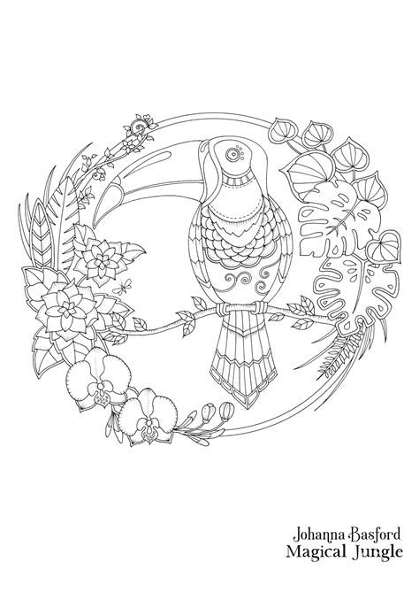 Download Johanna Basford | AdultcoloringbookZ