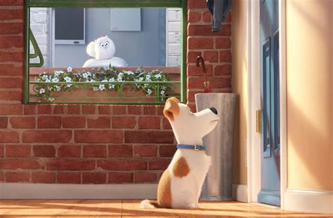 The Secret Life Of Pets Teaser Trailer Jasons Movie Blog