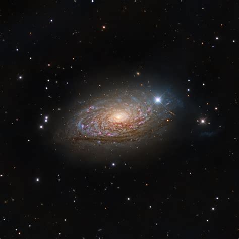 The Sunflower Galaxy M63 Telescope Live