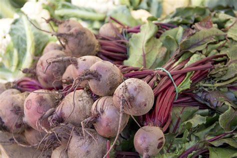 Problem ist nunmal die darmspiegelung, die ich montag hatte. Rote Beete pflanzen: So gelingt der Anbau | Gemüsegarten ...