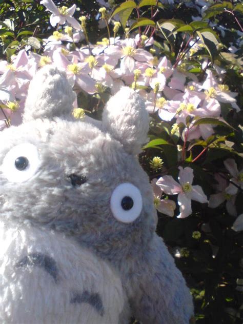 Totoro Flowers By Studioghibli123 On Deviantart