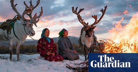 The Reindeer Herders Of Mongolia In Pictures News The Guardian