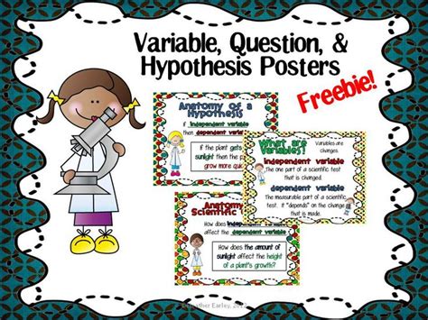 Variable Question And Hypothesis Posters For Scientific Process