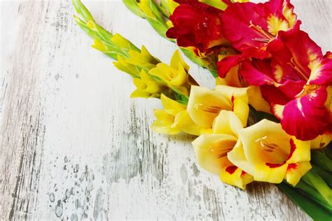 Hindi essay topics, speeches, slogans in hindi & english, history, english & hindi word meanings with explanation, hindi grammar. Yellow Flowers Meaning In Hindi - Food Ideas