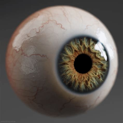 Universal Human Eye Textures