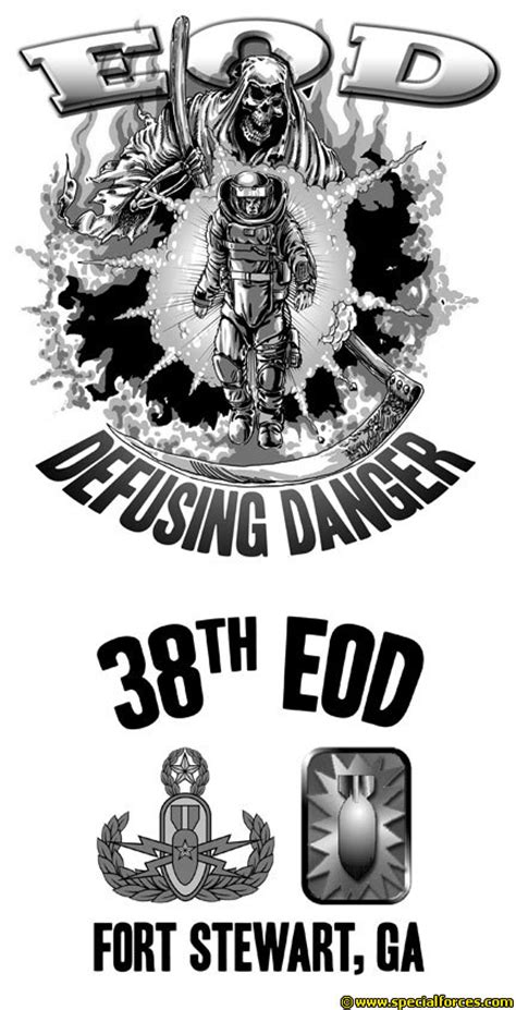 Free Download Eod Defusing Danger 38th Eod Fort Stewart Ga 432x845