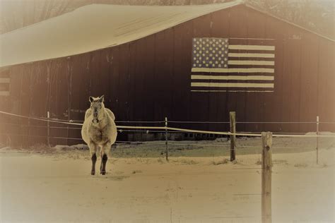 North Carolina 4 H Photography Contest Nc State Extension