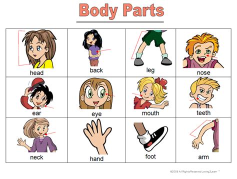 Joyful English For Kids Lets Learn Body Parts