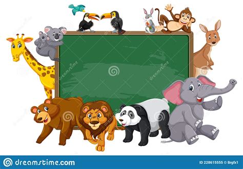 Empty Blackboard With Various Wild Animals Stock Vector Illustration