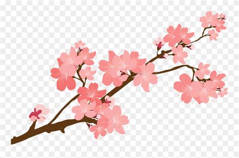 Cherry Blossom Vector Clipart 10 Free Cliparts Download Images On