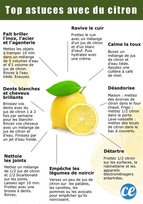 12 Utilisations Du Citron Qui Vont Vous Faciliter La Vie Produits De