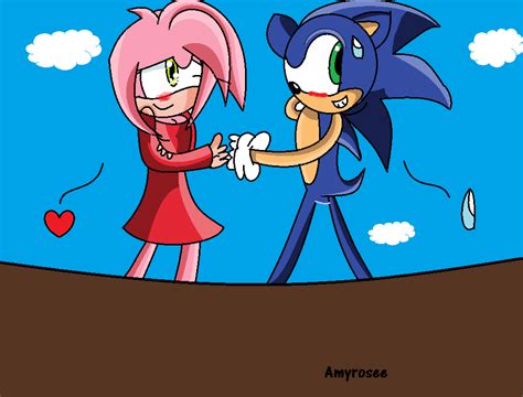 Amy Rose And Sonic Amy Rose Friendsandcouples Photo 28002761 Fanpop