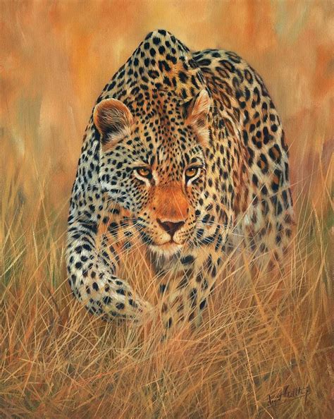 Stalking Leopard Painting By David Stribbling Pixels
