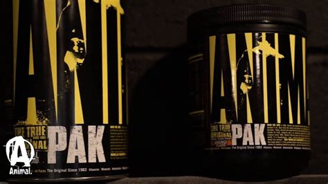 Animal Pak Powder Explained By Evan Centopani Youtube