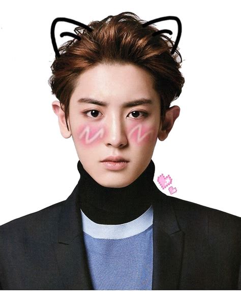 I will watch again your concert even if will cost me a month salary. "Cute Chanyeol #1" Stickers by liliidaes | Redbubble