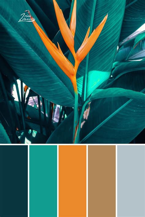 Color Palette Combinations Schemes Aesthetic Colors