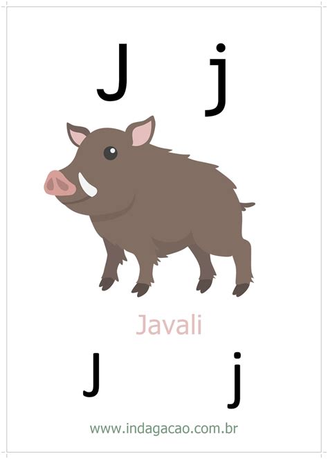 Animal Com A Letra J