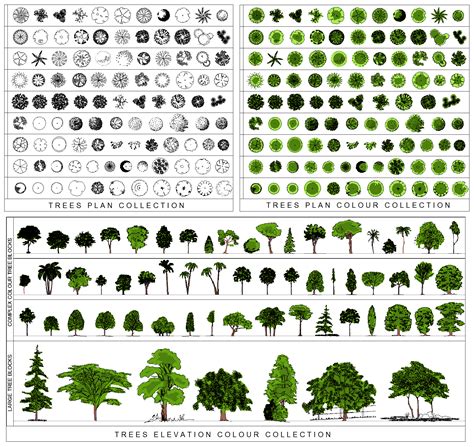 Bildresultat För Free Plant Models For Landscaping Plans